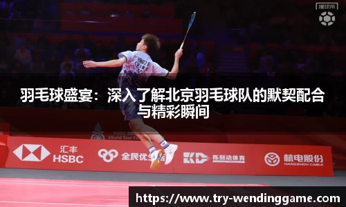 羽毛球盛宴：深入了解北京羽毛球队的默契配合与精彩瞬间